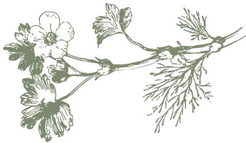 ¿Quieres darnos un regalo?